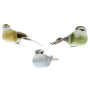 Colorful Canaries Set