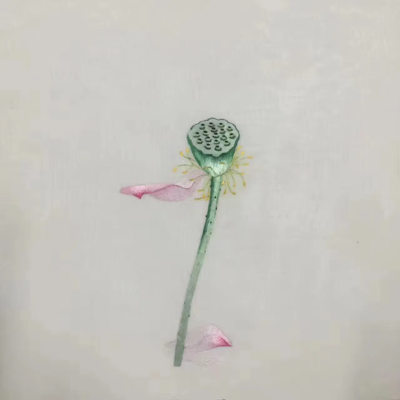 Delicate Hand embroidered Su Embroidery Art:flower birds fish lotus still life 35cm 5918