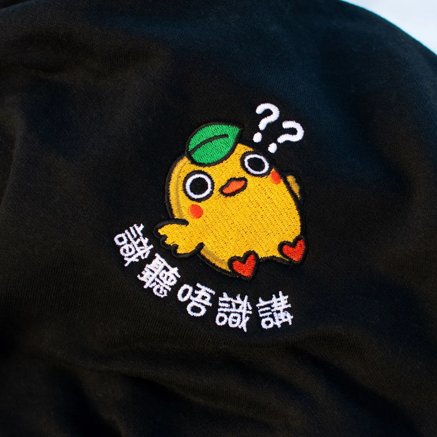 Sik Teng Mm Sik Gong Embroidered Crop Hoodie